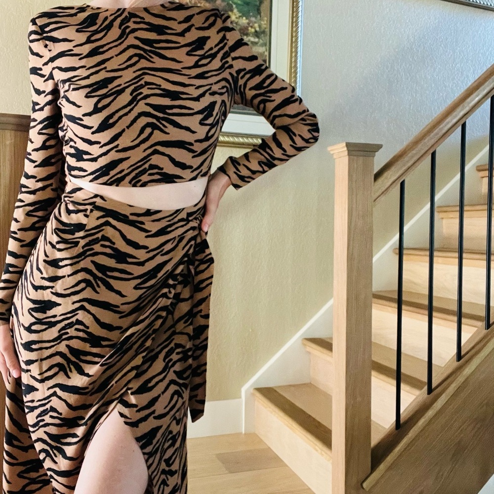 Reformation Maurita Tiger Stripe Print Dress - Picture 9 of 12